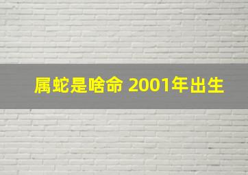 属蛇是啥命 2001年出生